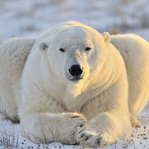 Le Commandant Charcot_Allgemein & Bilder_außen_©julien-fabro