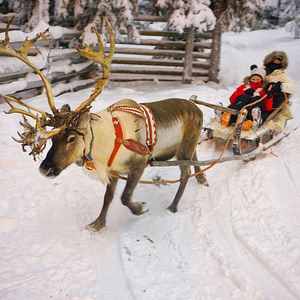 Polarlichter Norwegen