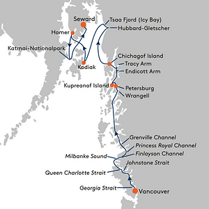 Braunbär Alaska