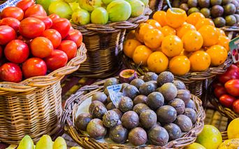 inselzauber der kanaren und madeira