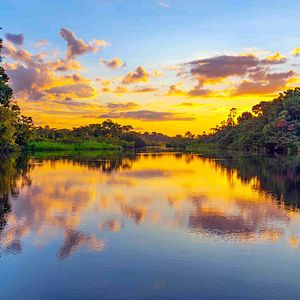 Sonnenuntergang im Amazonas Regenwald