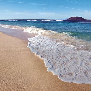 Drachenbaum, Teide, Teneriffa